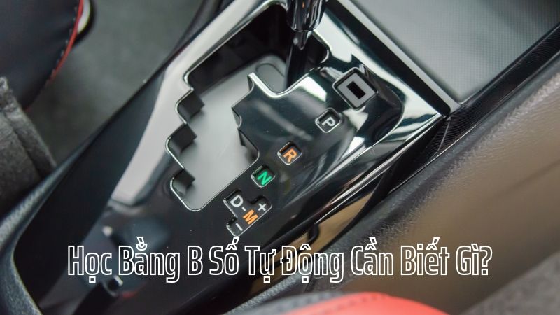 Học Bằng B Số Tự Động Hiện Nay Cần Biết Gì?