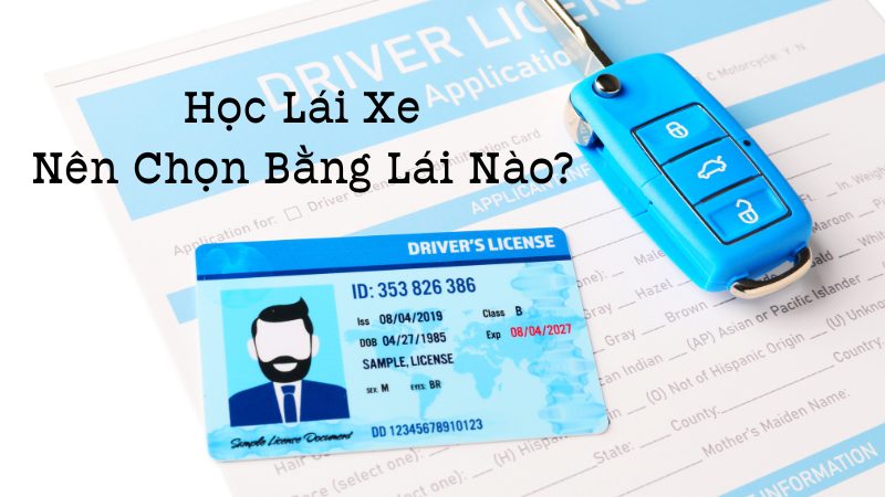 Học Lái Xe TPHCM Nên Chọn Bằng Lái Nào?